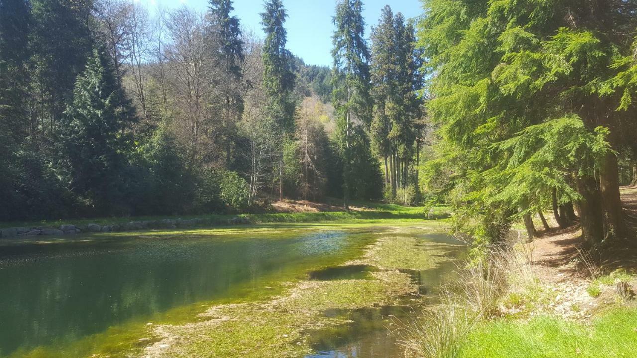 gitesdecampagne Saint-Étienne-de-Fursac Esterno foto